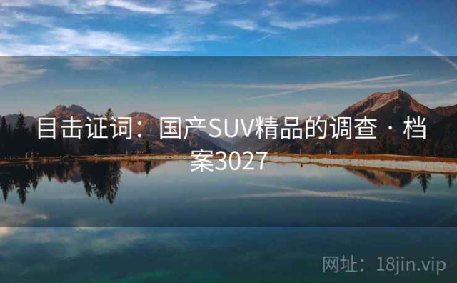 目击证词：国产SUV精品的调查 · 档案3027