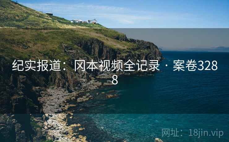 纪实报道：冈本视频全记录 · 案卷3288