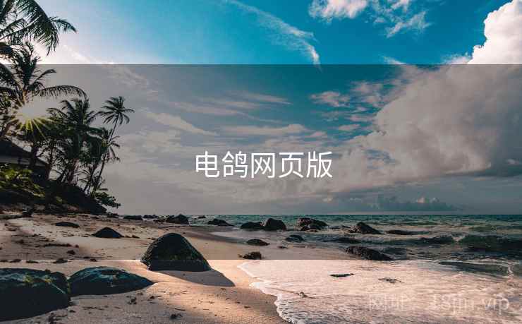 电鸽网页版