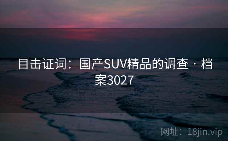 目击证词：国产SUV精品的调查 · 档案3027