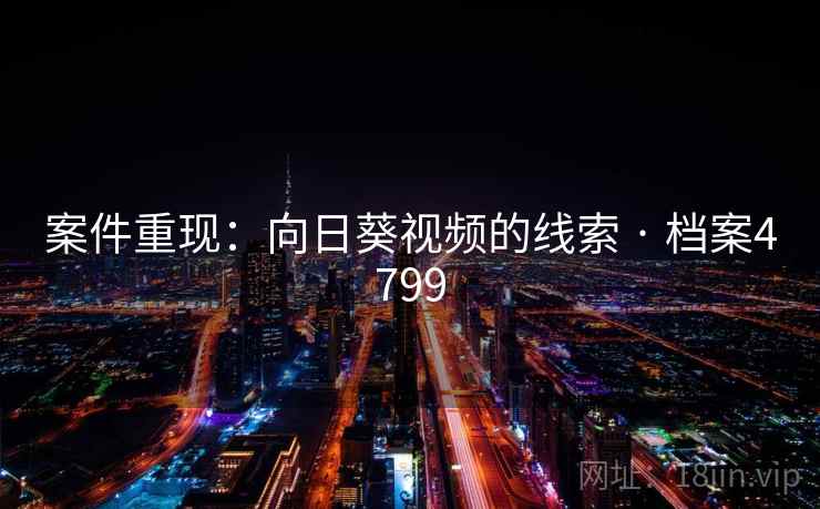 案件重现：向日葵视频的线索 · 档案4799