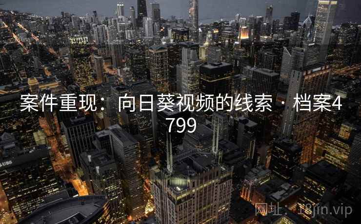 案件重现：向日葵视频的线索 · 档案4799