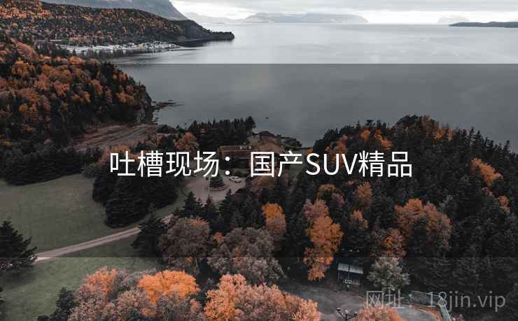 吐槽现场：国产SUV精品