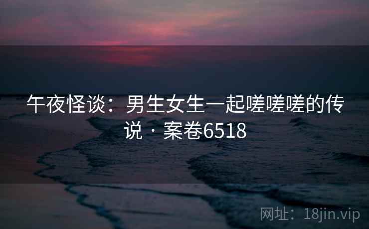 午夜怪谈：男生女生一起嗟嗟嗟的传说 · 案卷6518