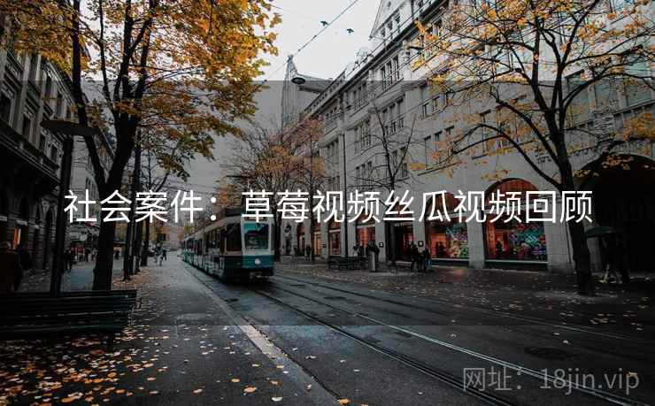 社会案件：草莓视频丝瓜视频回顾